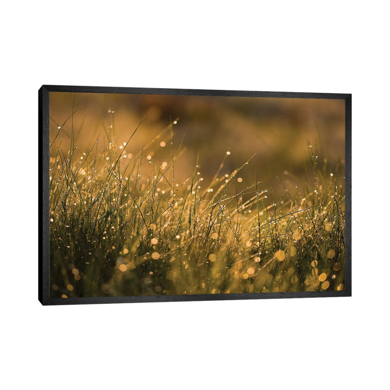 Morning Dew I by Mateusz Piesiak - Floater Frame Gallery-Wrapped Canvas Giclée on Canvas, 66.04 cm H x 45.72 cm W