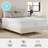 Martha Stewart SleepComplete Medium Support Dual-Action Green Tea Cooling Memory Foam Mattress-98630534