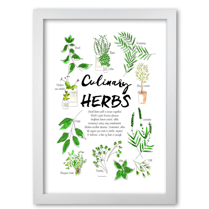 Culinary Herbs - Single Picture Frame Print, White Grain, 84.1 cm H x 59.4 cm W x 5 cm D