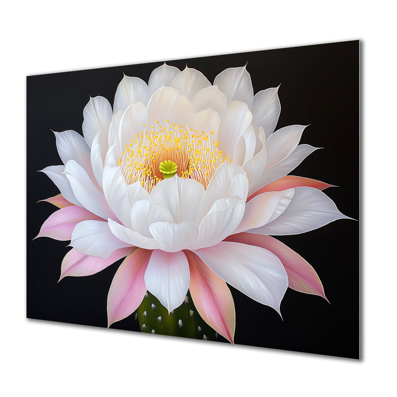 Fleur de cactus rose III, H 12 po x l 20 po x P 0,84 po