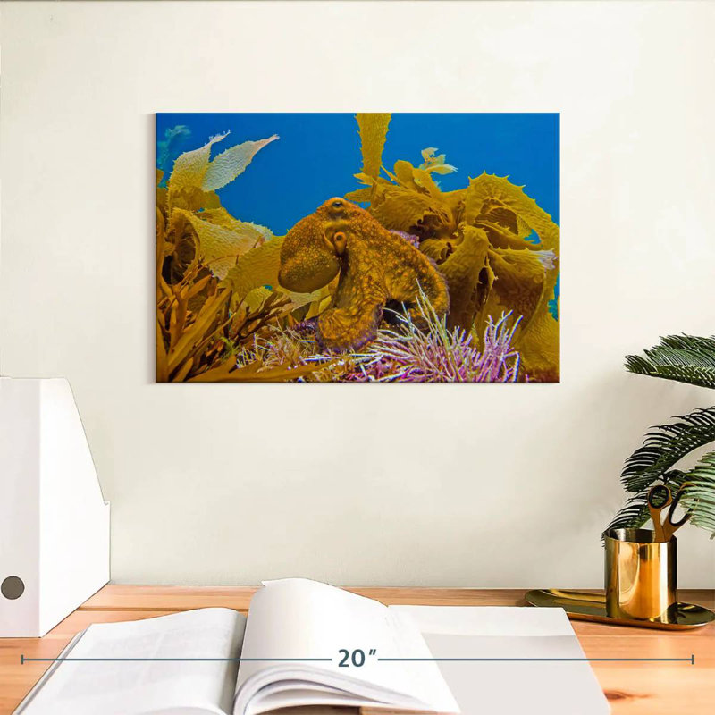 Crowle Reef Octopus And, 8" H x 12" W