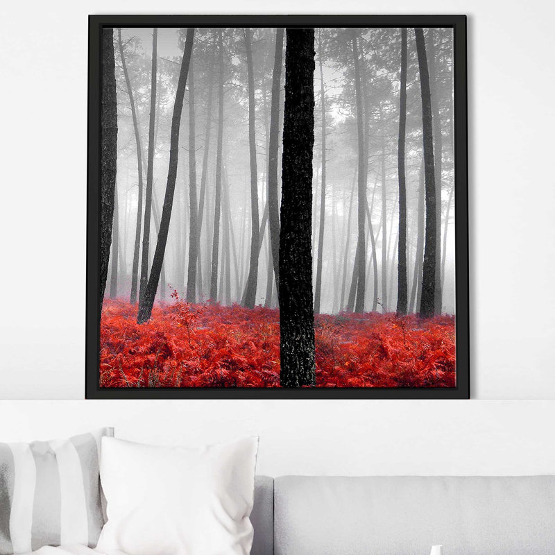 «Autumn Woods II» par Photoinc Studio - photographie, Cadre flottant noir, H 27,5 po x l 27,5 po x P 2 po