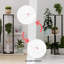 Plant Stand - Set of 6-597922294