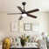 Derick 52'' 5-Blade Modern Ceiling Fan with LED Light and Remote Control