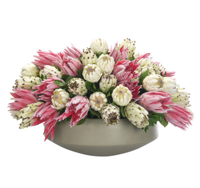 Protea, Pink Green, Concrete Bowl