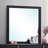 Stuckey Dresser Mirror-457600909