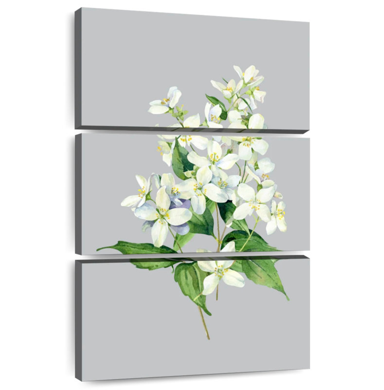 Harnek Spanish Jasmine Flowers