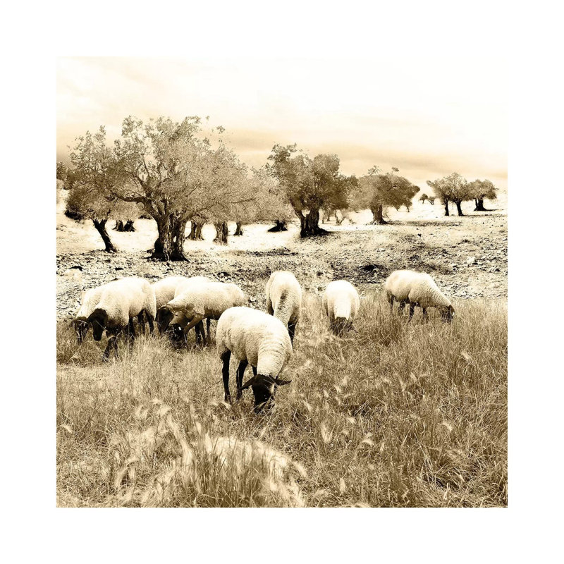 Out In The Fields by Ynon Mabat - Wrapped Canvas Print, 30.48cm H x 30.48cm W