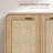 41" Tall Rattan Shoe Storage Cabinet, 24 Pairs Shoe Cabinet For Entryway,-772015759