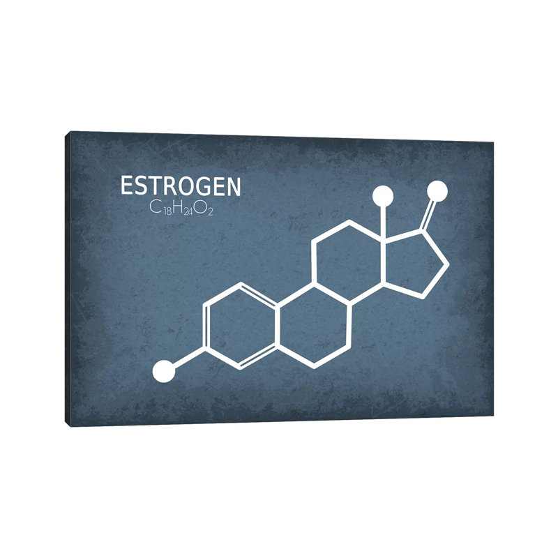 Estrogen Molecule - Wrapped Canvas Print, 101.6 cm H x 66.04 cm W x 1.91 cm D