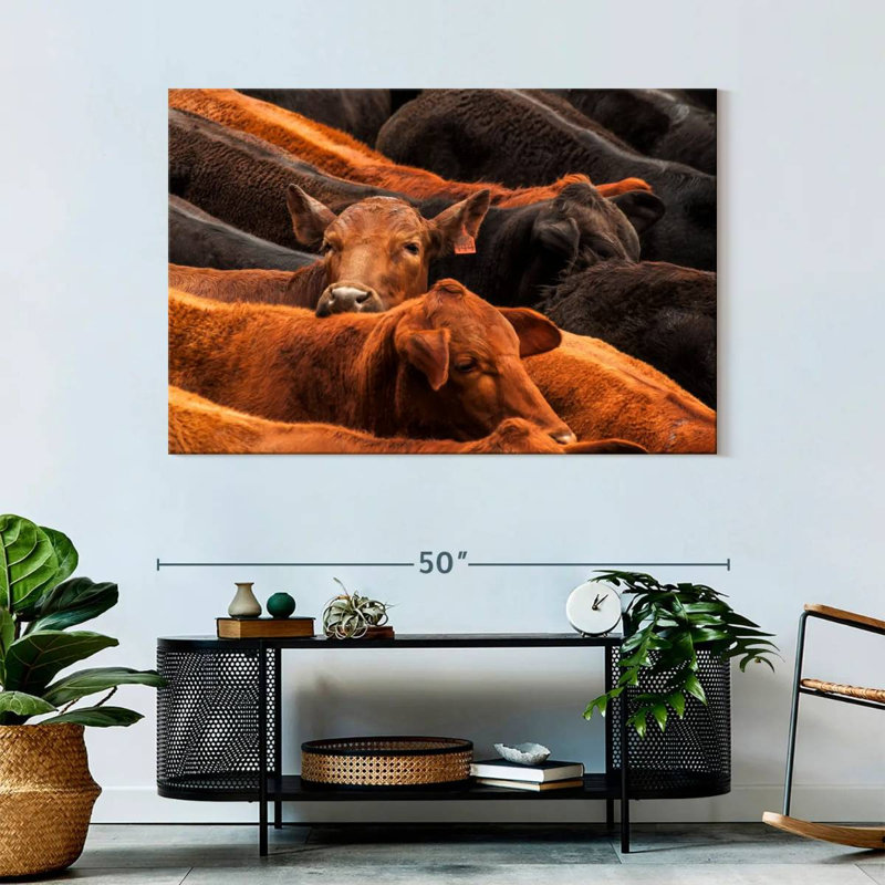 Brampt Beef Cattle, 32" H x 48" W