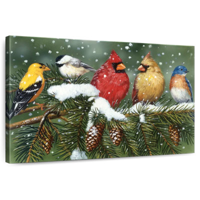 Brampt Backyard Birds On Snowy Branch