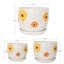 Ceramic Planter