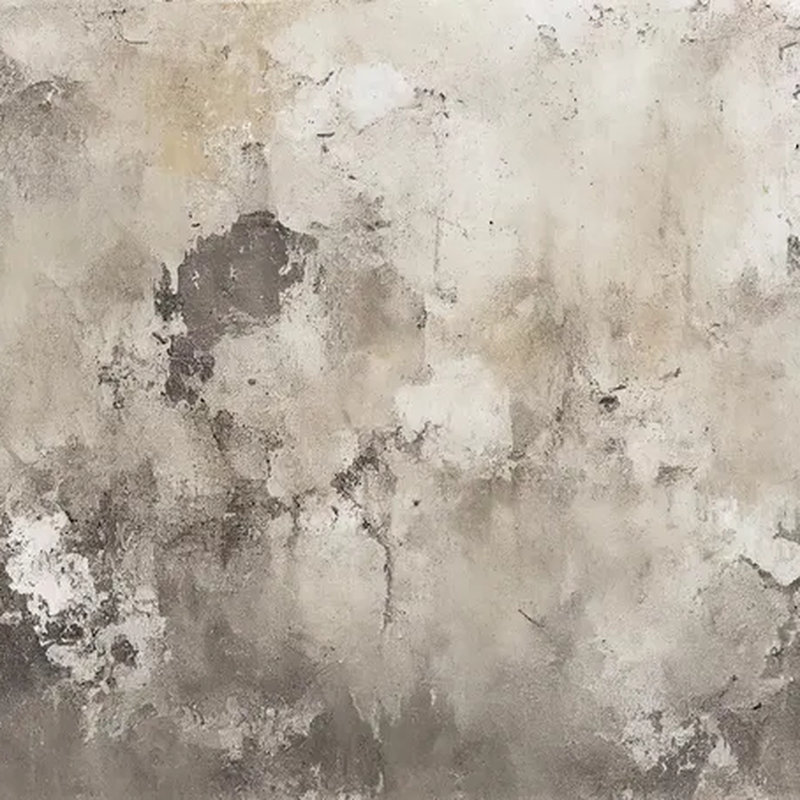 Trent Austin Design® Neutral Concrete Wall Mural | Wayfair