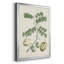 Buchoz Tropicals II-88436410-88436413