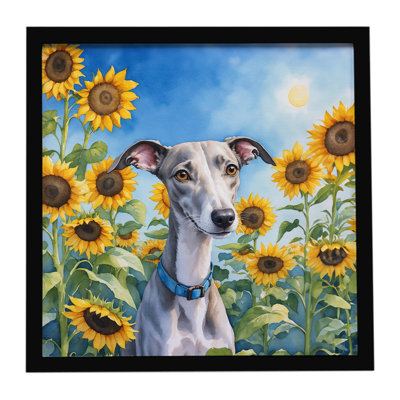 Whippet in Sunflowers Framed Metal Print