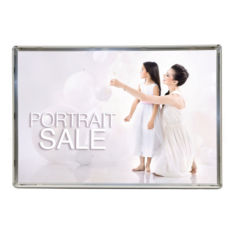 Cadre photo Jeevan, Argent, 24 po x 30 po