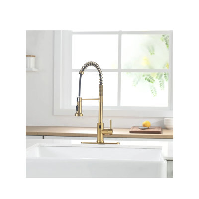 AvaMalis Pull Down Kitchen Faucet
