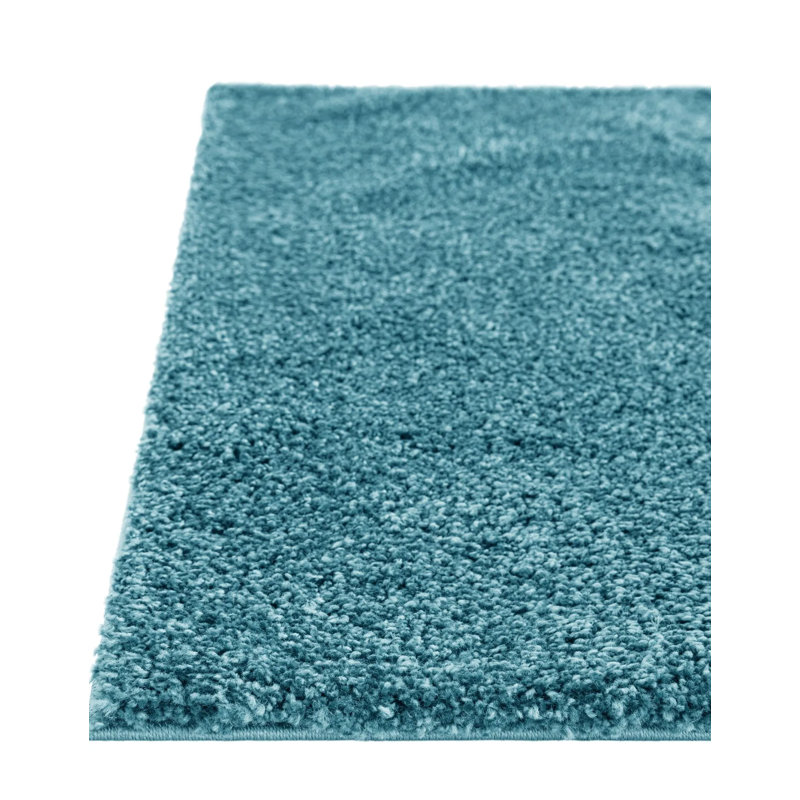 Tapis turquoise, Rectangle 2 pi x 3 pi 1 po