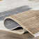 Vanita Transitional Southwestern Fringe Area Rug