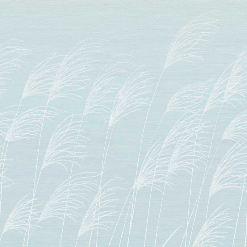 Miscanthus, Sky/Celestial