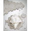 Winter Lace Placemat