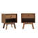 Bradgate 1-Drawer Nightstands with Storage Cubby