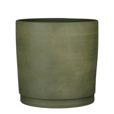 Allysyn Ceramic Pot Planter