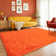 Shag Rug for Living Room, Soft Orange Area Rug, Non-Slip Carpet for Bedroom Nursery Kids Play Room Dorm Office