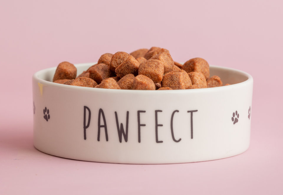 Treat your furry friends