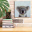 "Lil Koala" par Lucia Heffernan-1621722263