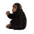 Monkey Sitting Statue