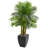 60'' Faux Palm Tree in Earthenware Planter