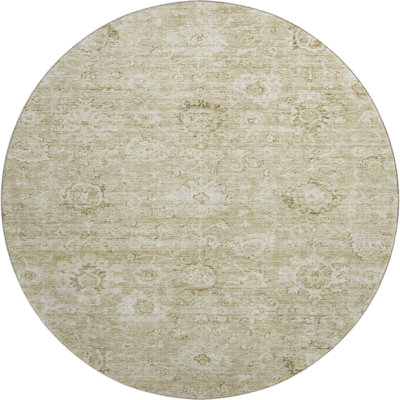 Premium Machine Washable Wayne AMF1089 Damask Rug