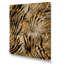Léopard et tigre IV - Impression sur toile-415099835-415099827