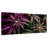 Lavander Marijuana-106045494