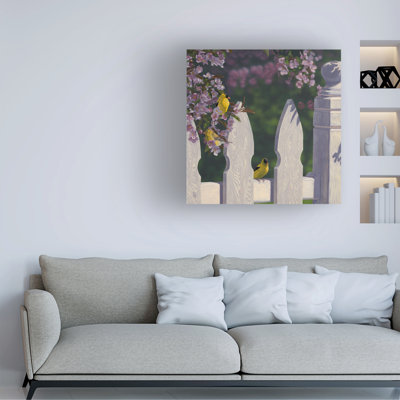Jeff Hoff Goldfinch Trio Canvas Art