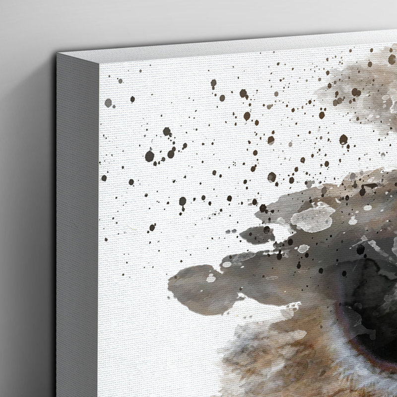 Barn Owl - Wall Art, 40cm H x 60cm W, Wrapped Canvas