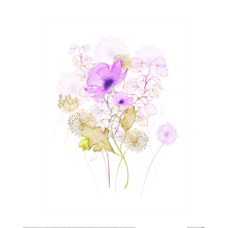 Honesty by Summer Thornton - No Frame Painting, 50cm H x 40cm W x 0.1cm D