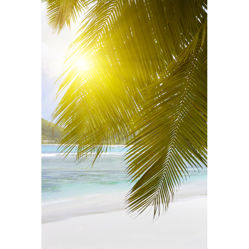 White Coral Beach by Logray - Wrapped Canvas Print, 46cm H x 30cm W