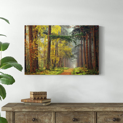 " Colors Of The Forest "