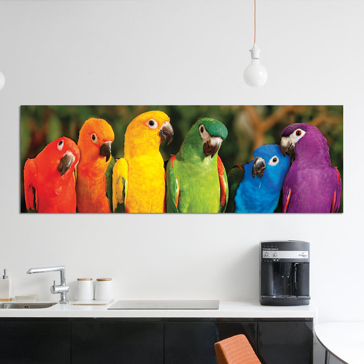 «Rainbow Parrots», impression sur toile tendue, H 24 po x l 72 po x P 1,5 po, Toile tendue