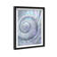 Sea Spiral Shadowbox Nautical & Beach Print by Oliver Gal, Black Frame, 10 x 15-871581762-1007000482