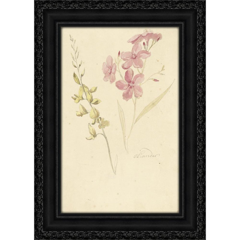 Oleander en brem (1677 - 1755)