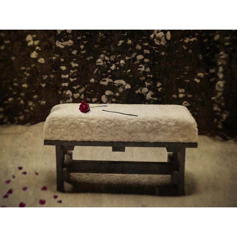Roses In Snow Print by Robert Dodge, Black Framed Paper, 20" H x 16" W