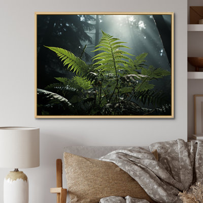 " Ferns Close Up Photo VII "