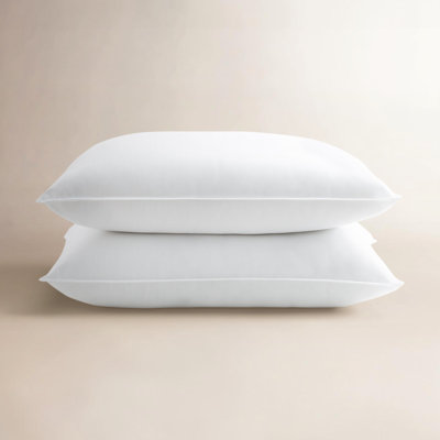 Sleep by Wayfair™ Polyester Pillow