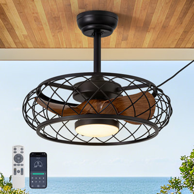 19.7" Outdoor Caged Ceiling Fan with Light Kit and Remote Control