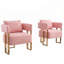 Chaise d'appoint rembourrée en molleton luxueux avec pieds en métal doré, pour salon et bureau, ensemble de 2-339340049