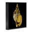 «Gold Conch» sur fond gris noir, estampe numérique par Caroline Kelly-1501754614-1501754615